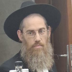 הרב דוד הלל בריקס