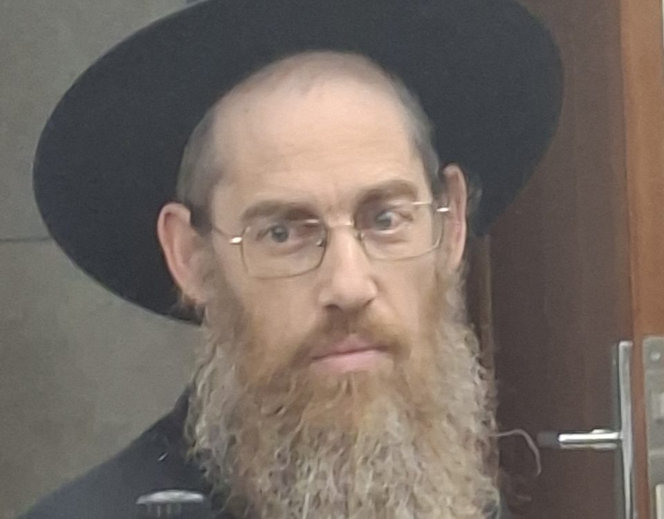 הרב דוד הלל בריקס